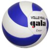 Volejbalový míč Gala Easy 5083S