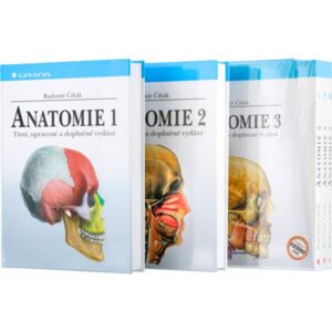 Anatomie